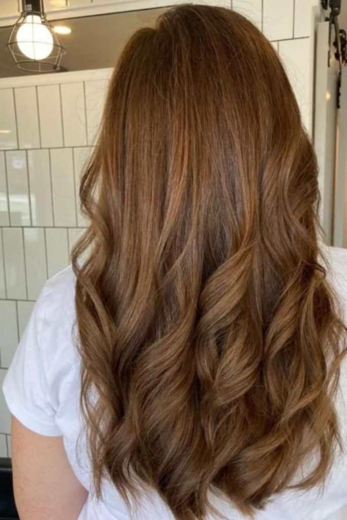 Chestnut Whisper Hair Color