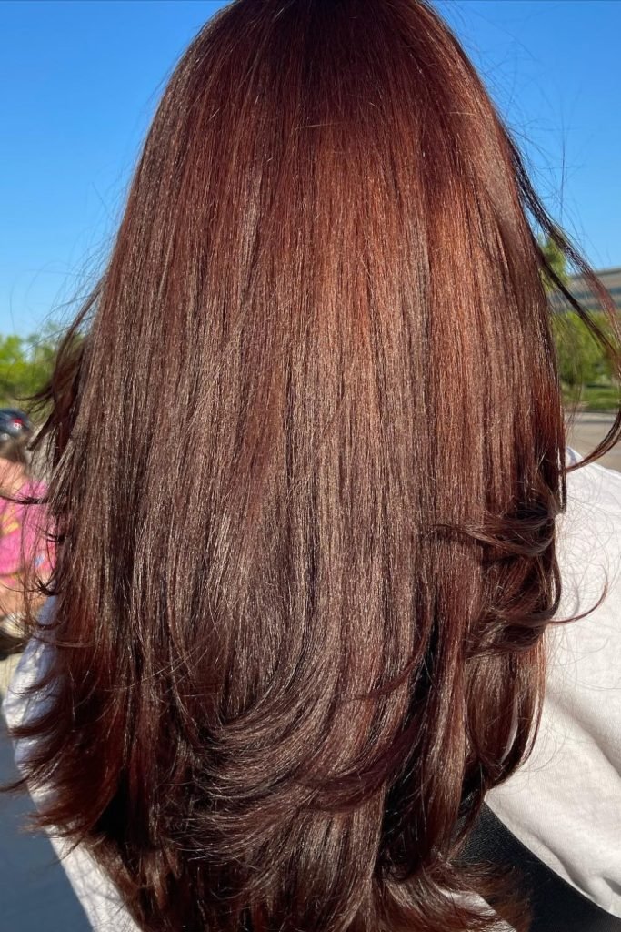 Cinnamon Brown Hair Color
