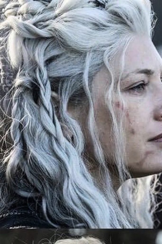 Silver Serpent Braid Hairstyle