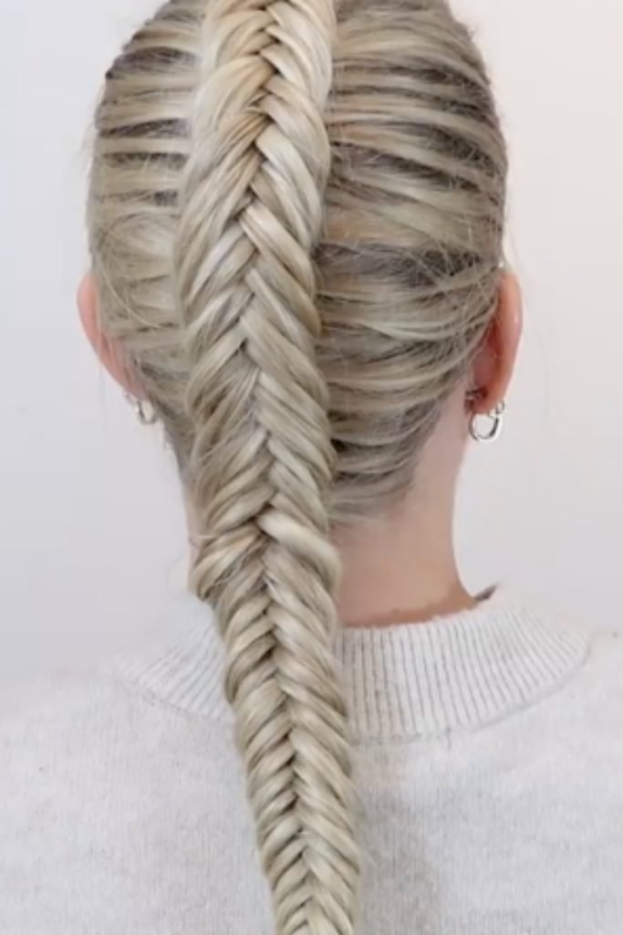 Shaggy Fishtail Braid Hairstyle