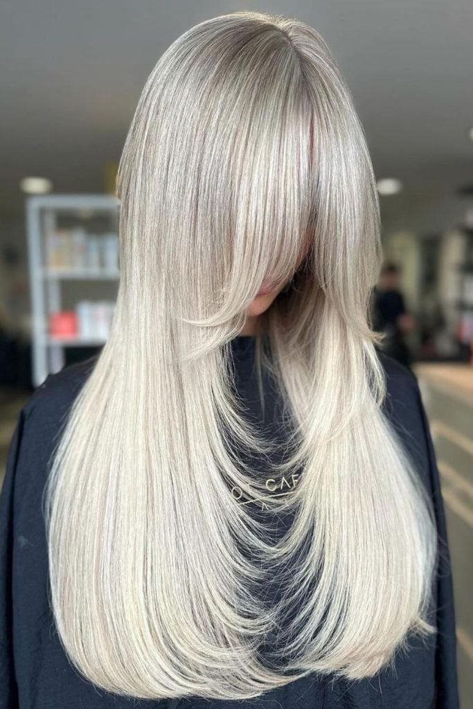 Ashy Winter Wonderland Hair