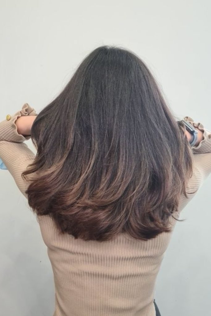 Ombre Shag Hairstyle