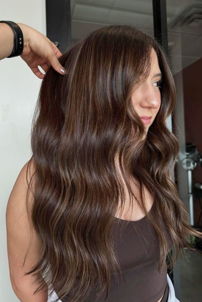 Rich Chocolate with Blonde Streaks