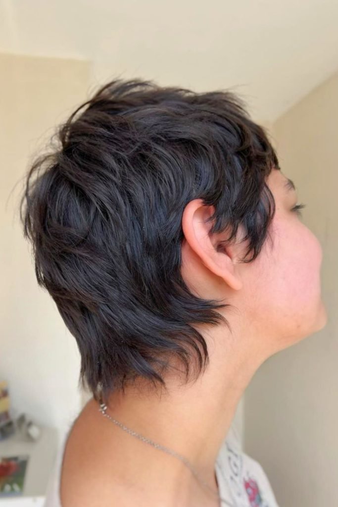 Textured Pixie Shag Hairstyle with Ends